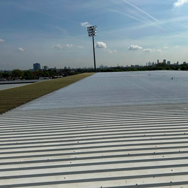 Fulham Roof Painting